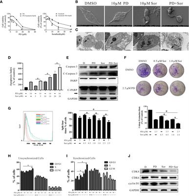 Combined Anti-Cancer Effects of Platycodin D and Sorafenib on Androgen-Independent and PTEN-Deficient Prostate Cancer